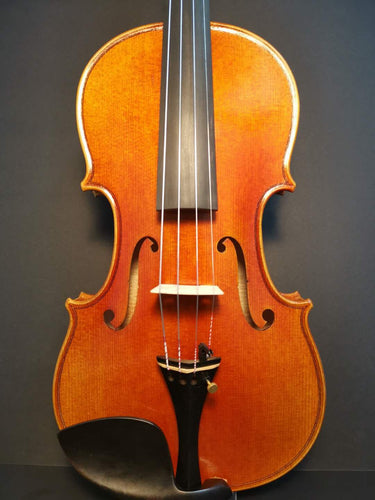 Violin MELODIA VN3880